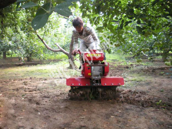 果園旋耕除草機(jī)