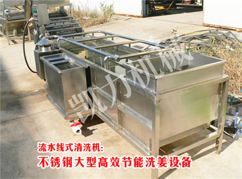 北京市洗姜機(jī)